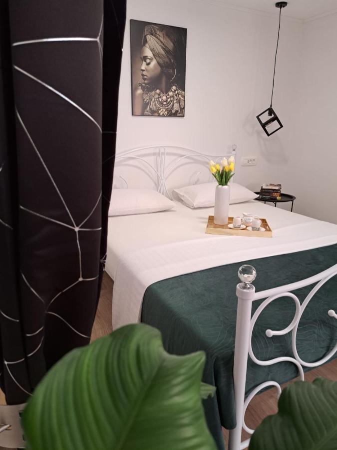 Apartament Studio Apartman Maris Zadar Zewnętrze zdjęcie